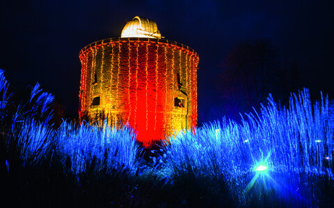 Adventszauber im egaCampus –  GartenWerk-Workshop für Erwachsene