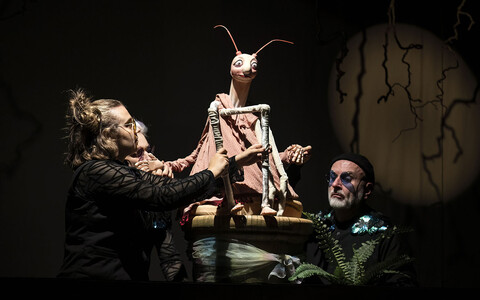 Tierische Briefe, ab 14 J.