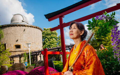 Japanisches Gartenfest