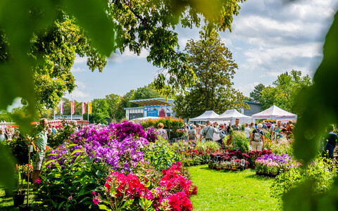 Thüringer Gartentage mit Gartenpflanzen-Raritätenbörse und Kakteenbörse
