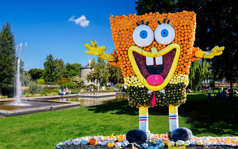 Kürbiszeit im egapark