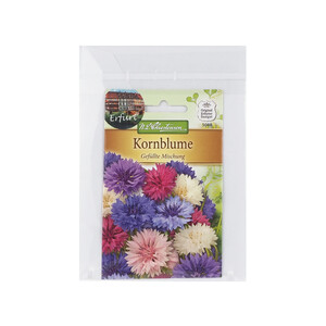 Blumensamen Postkarte Kornblume Rückseite