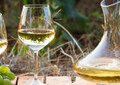 Weinverkostung Riesling