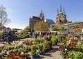 Erfurter Blumen- und Gartenmarkt