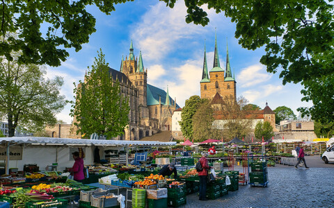 Frischwarenmarkt