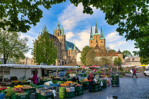 8_Blumen- und Gartenmarkt_2022_©Erfurt Tourismus und Marketing GmbH_CC-BY.jpg