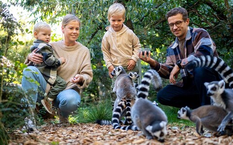 Tierisch gute Ferien im Zoopark – Pfingstferien Bayern