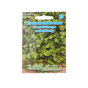 Brunnenkresse Samen