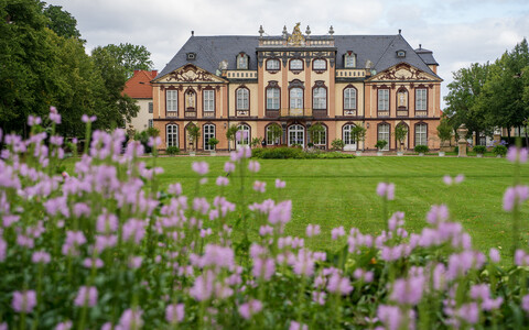 Führung durch die Prunkräume des Schlosses Molsdorf (stündlich)
