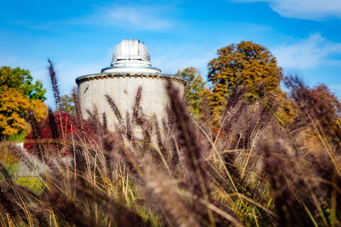 © Steve Bauerschmidt Deutschland, Thüringen, Erfurt, egapark, SWE, Stadtwerke, Park, Garten, Pflanzen, Blumen, Freizeitpark
Erfurt , 121022 , egapark Erfurt..Im Bild: Staudenschau an der Wasserachse..Foto: Steve Bauerschmidt
Herbst, Blüten, Blumen, egapark, Garten
Herbst, Blüten, Blumen, egapark, Garten