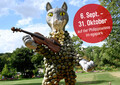 2025_09_Kürbiszeit_Zuschnitt.jpg Kürbiszeit im egapark