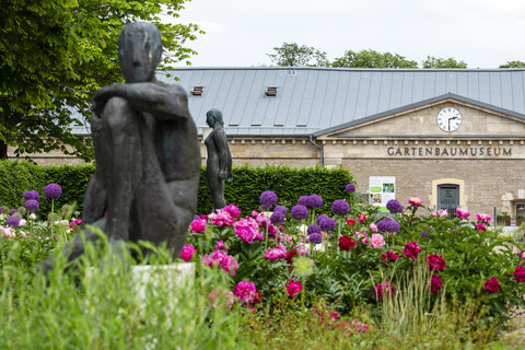25.05.2024 Erfurt: Gartenbaumuseum auf der ega. Foto: Thomas Müller