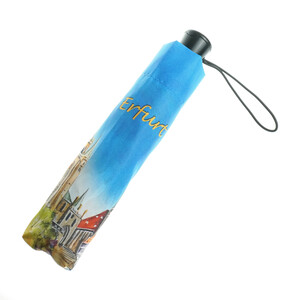 Erfurt Taschenschirm Aquarell