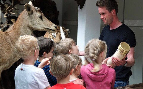Schlaumeierquiz - Rätseltour auf eigene Faust für die ganze Familie