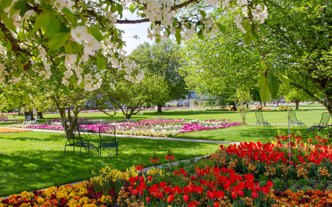 Eine Zeitreise mit dem Dia-Projektor durch die iga/ega-Geschichte