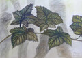 „Hinaus spazieren – Natur & Landschaft“ von Lina Luise