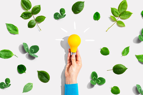 Person holding a light bulb with green leaves